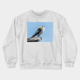 Brown pelican in Calabash Crewneck Sweatshirt